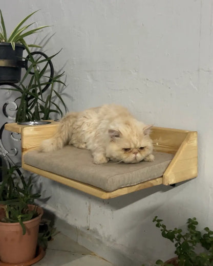 سرير جداري عائم للقطط مع أوعية طعام مزدوجة – تصميم أنيق ومريح